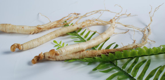 雍容荟土人参 雍容荟土人参