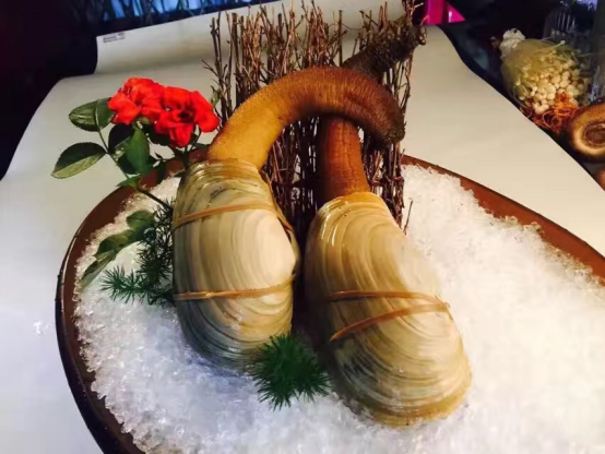 雍容荟象牙蚌 雍容荟象牙蚌