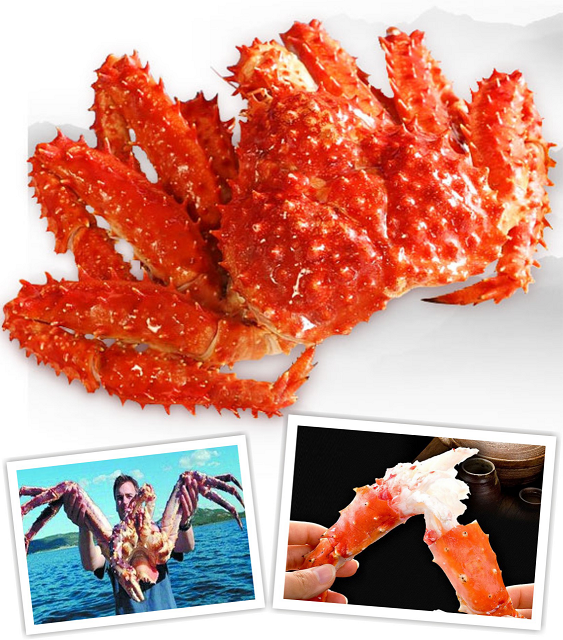 雍容荟帝王蟹 雍容荟帝王蟹