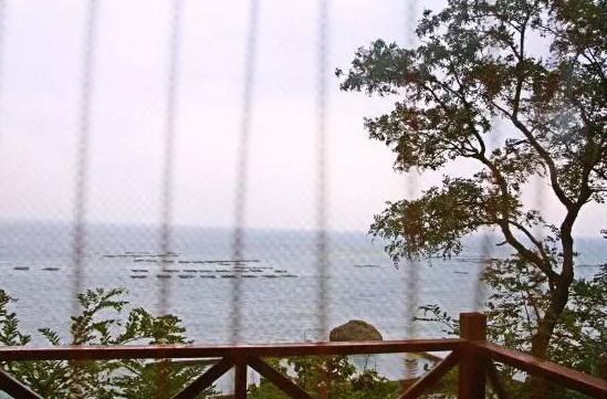 【福利】在青岛最棒的海岛民宿 找到归宿！