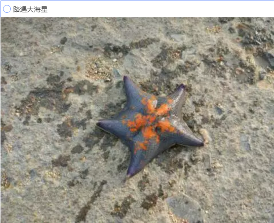 【福利】在青岛最棒的海岛民宿 找到归宿！