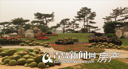 碧桂园十里金滩迎宾示范区 青岛新闻网