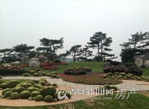 碧桂园十里金滩实景图