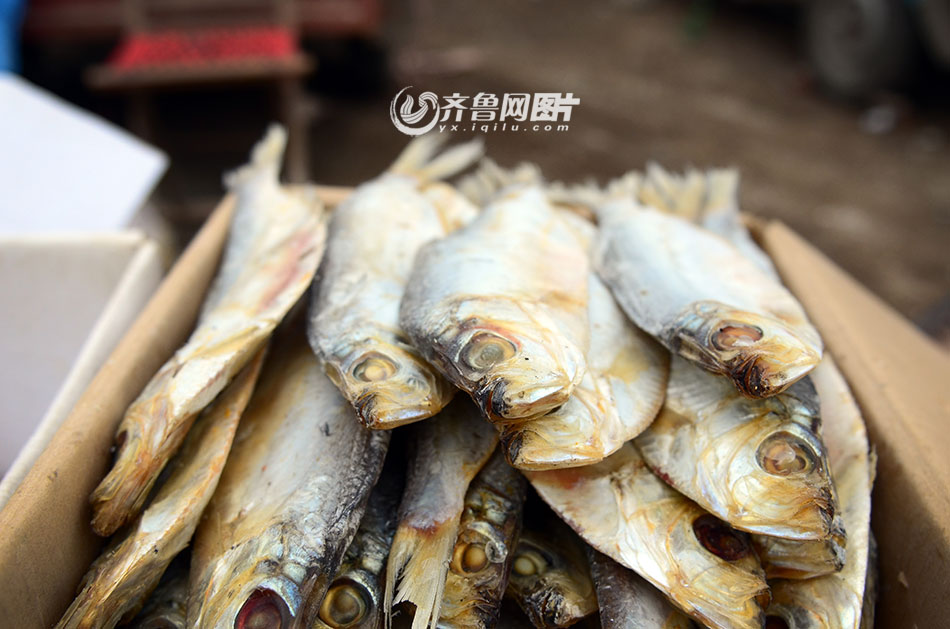 腊月青岛大集之上马集:海鲜满市腥味十足