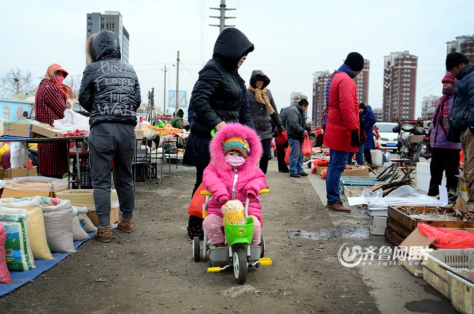 腊月青岛大集之上马集:海鲜满市腥味十足