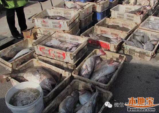 2015青岛年货大集