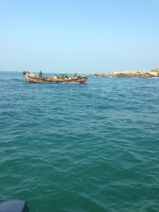 干炸未恋爱小鱼成酒店招牌 网友举报滥捕鱼苗