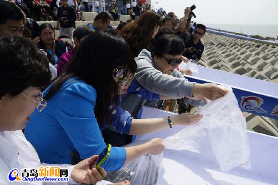 干炸未恋爱小鱼成酒店招牌 网友举报滥捕鱼苗