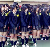 十一区的各种奇葩事