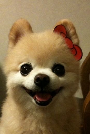 笑动物们的开怀一笑